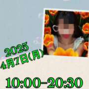 ヒメ日記 2025/04/07 08:52 投稿 あき MOISTLIP