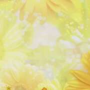 ヒメ日記 2025/09/14 06:00 投稿 あき MOISTLIP