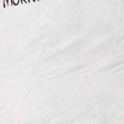 ヒメ日記 2025/10/14 09:20 投稿 あき MOISTLIP