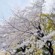 ヒメ日記 2025/04/02 11:38 投稿 あおい 人妻日記2nd