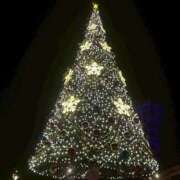 みか ゆめのくに🐭🏖️ ケープエンジェル