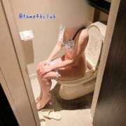 ヒメ日記 2025/04/07 06:15 投稿 玉城(たましろ)奥様 新潟人妻デリバリーヘルス下心