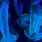 ヒメ日記 2026/04/24 14:12 投稿 Renka THE RICH