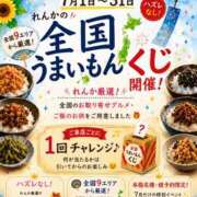 ヒメ日記 2026/06/29 14:41 投稿 Renka THE RICH