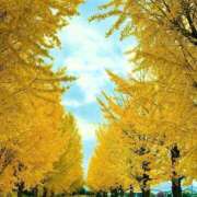 ヒメ日記 2024/12/19 10:43 投稿 らら美Ｅ乳カップ ラヴァーズ