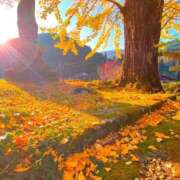 ヒメ日記 2024/12/19 19:15 投稿 らら美Ｅ乳カップ ラヴァーズ