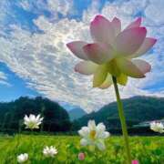 ヒメ日記 2024/12/21 10:53 投稿 らら美Ｅ乳カップ ラヴァーズ