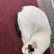 ヒメ日記 2024/12/28 21:23 投稿 らら美Ｅ乳カップ ラヴァーズ