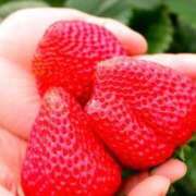 ヒメ日記 2025/02/13 10:46 投稿 らら美Ｅ乳カップ ラヴァーズ