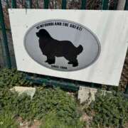 ヒメ日記 2025/03/21 15:39 投稿 らら美Ｅ乳カップ ラヴァーズ