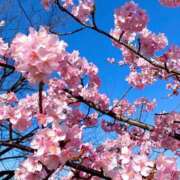 ヒメ日記 2025/03/22 10:34 投稿 らら美Ｅ乳カップ ラヴァーズ