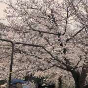 ヒメ日記 2025/03/27 19:04 投稿 らら美Ｅ乳カップ ラヴァーズ