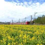 ヒメ日記 2025/03/29 10:44 投稿 らら美Ｅ乳カップ ラヴァーズ