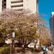 ヒメ日記 2025/04/12 10:19 投稿 らら美Ｅ乳カップ ラヴァーズ