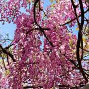 ヒメ日記 2025/05/10 22:35 投稿 らら美Ｅ乳カップ ラヴァーズ