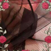 ヒメ日記 2025/05/20 09:26 投稿 らら美Ｅ乳カップ ラヴァーズ