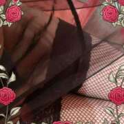 ヒメ日記 2025/06/14 16:32 投稿 らら美Ｅ乳カップ ラヴァーズ