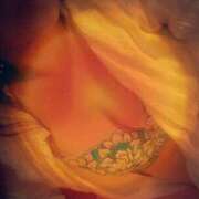 ヒメ日記 2025/08/30 17:17 投稿 らら美Ｅ乳カップ ラヴァーズ