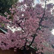 ヒメ日記 2026/02/28 07:43 投稿 らら美Ｅ乳カップ ラヴァーズ