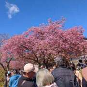 桜井みわ また来月中旬から来ます 五十路マダム静岡店（カサブランカG）