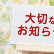 ヒメ日記 2026/06/22 19:04 投稿 桜井みわ 五十路マダム静岡店（カサブランカG）