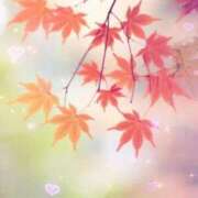 ヒメ日記 2025/10/25 11:19 投稿 藤田 鶯谷デッドボール