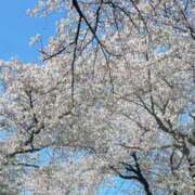 ひまり 桜♡ クリスタルルーム