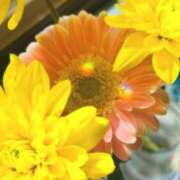 ヒメ日記 2025/09/17 21:01 投稿 ひな 京都デリヘル倶楽部