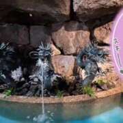 ヒメ日記 2025/03/09 12:57 投稿 みらい 奥鉄オクテツ神奈川店（デリヘル市場グループ）