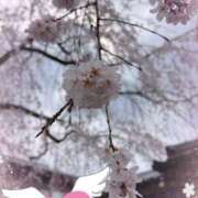 ヒメ日記 2025/03/31 10:15 投稿 みらい 奥鉄オクテツ神奈川店（デリヘル市場グループ）