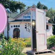 ヒメ日記 2025/06/29 15:01 投稿 みらい 奥鉄オクテツ神奈川店（デリヘル市場グループ）