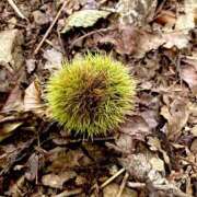 ヒメ日記 2025/08/30 09:44 投稿 みらい 奥鉄オクテツ神奈川店（デリヘル市場グループ）