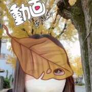 ヒメ日記 2025/11/22 12:57 投稿 みらい 奥鉄オクテツ神奈川店（デリヘル市場グループ）