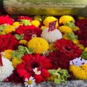 ヒメ日記 2026/01/01 22:48 投稿 みらい 奥鉄オクテツ神奈川店（デリヘル市場グループ）