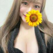 ヒメ日記 2025/03/16 15:20 投稿 綾瀬　ゆか 業界未経験のモデル系イイ女専門店 ANECAM