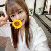 ヒメ日記 2025/04/30 15:18 投稿 綾瀬　ゆか 業界未経験のモデル系イイ女専門店 ANECAM