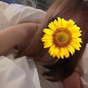 ヒメ日記 2025/05/31 17:52 投稿 綾瀬　ゆか 業界未経験のモデル系イイ女専門店 ANECAM