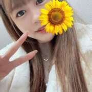 ヒメ日記 2025/07/21 11:27 投稿 綾瀬　ゆか 業界未経験のモデル系イイ女専門店 ANECAM