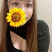 ヒメ日記 2025/09/17 06:18 投稿 綾瀬　ゆか 業界未経験のモデル系イイ女専門店 ANECAM