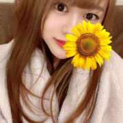 ヒメ日記 2026/03/06 10:07 投稿 綾瀬　ゆか 業界未経験のモデル系イイ女専門店 ANECAM