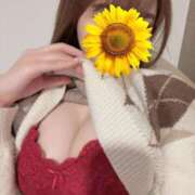 ヒメ日記 2026/03/12 03:27 投稿 綾瀬　ゆか 業界未経験のモデル系イイ女専門店 ANECAM