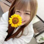 ヒメ日記 2026/04/01 07:27 投稿 綾瀬　ゆか 業界未経験のモデル系イイ女専門店 ANECAM