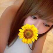 ヒメ日記 2026/08/09 14:27 投稿 綾瀬　ゆか 業界未経験のモデル系イイ女専門店 ANECAM
