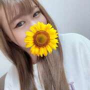 ヒメ日記 2026/08/19 12:57 投稿 綾瀬　ゆか 業界未経験のモデル系イイ女専門店 ANECAM