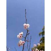 ヒメ日記 2026/03/06 15:18 投稿 なな 京都回春性感マッサージ倶楽部