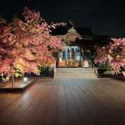 ヒメ日記 2025/03/19 13:57 投稿 奥山あいな 東京不倫 渋谷店