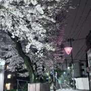 ヒメ日記 2025/03/31 11:07 投稿 奥山あいな 東京不倫 渋谷店