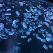 ヒメ日記 2025/05/26 14:07 投稿 奥山あいな 東京不倫 渋谷店