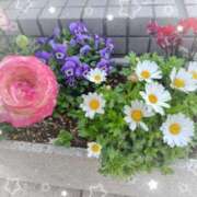 ヒメ日記 2026/03/09 13:27 投稿 花岡ましろ 東京不倫 渋谷店