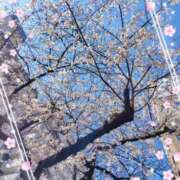 ヒメ日記 2026/04/06 13:47 投稿 花岡ましろ 東京不倫 渋谷店